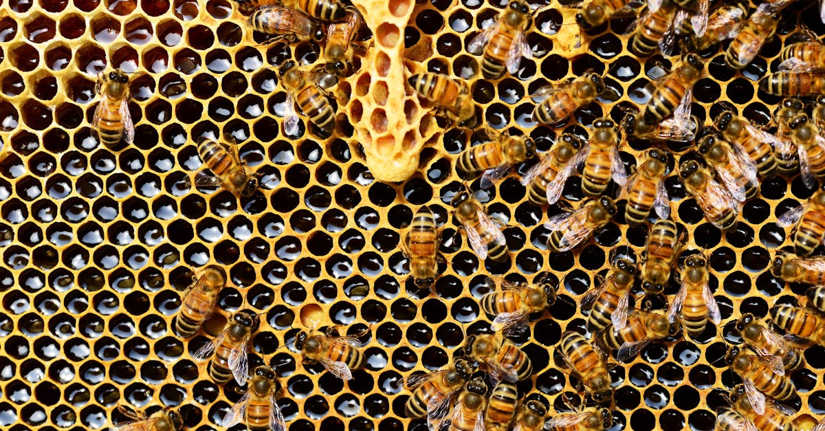 découvrez comment utiliser l'api prestashop pour optimiser la gestion de votre boutique en ligne. accédez facilement aux données, automatisez des tâches et améliorez l'intégration de vos systèmes grâce à notre guide complet sur l'api prestashop.
